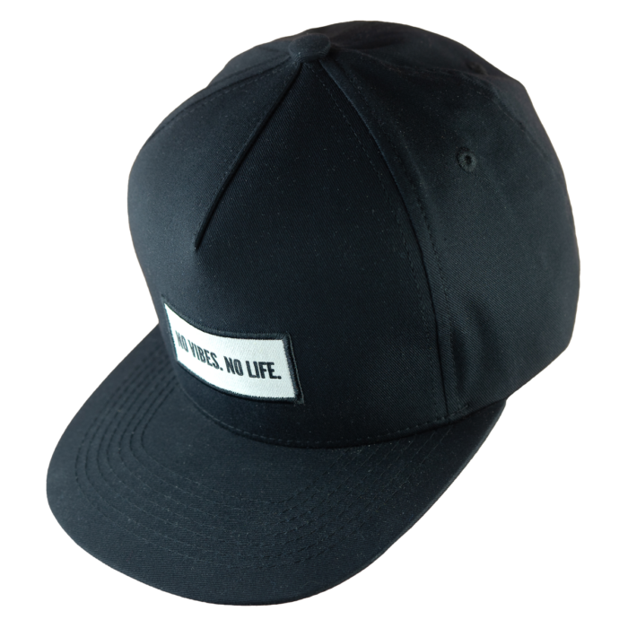 v1bes Chronicle Snapback