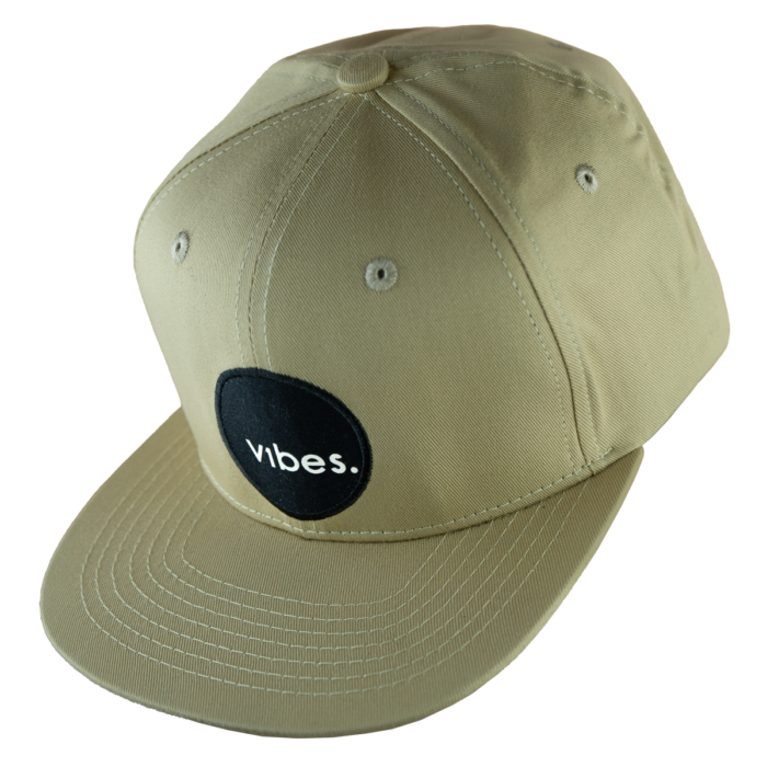 v1bes Dust Original Snapback